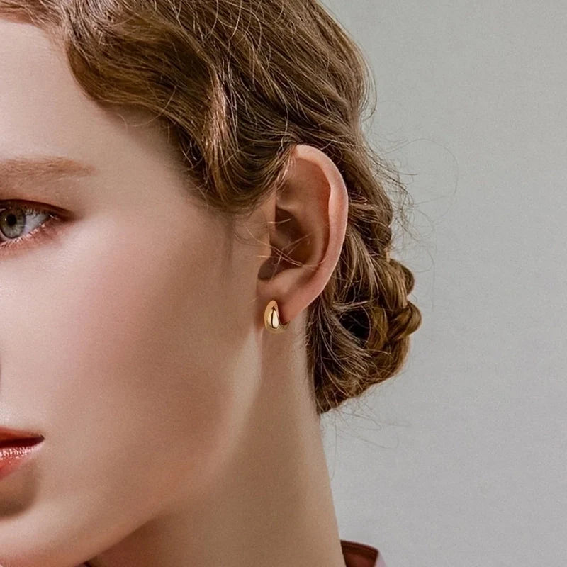 Fashion U Shaped Earrings