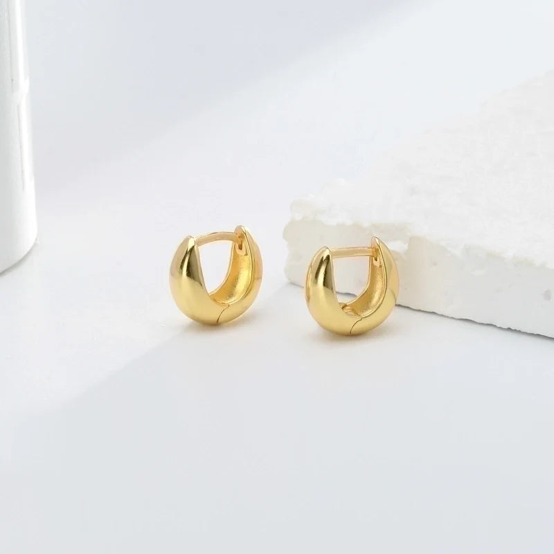 Fashion U Shaped Earrings